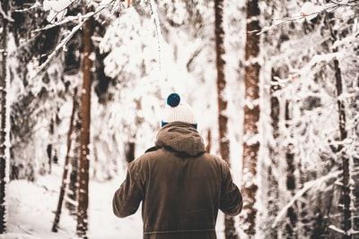 站在被雪覆盖的树中间的人